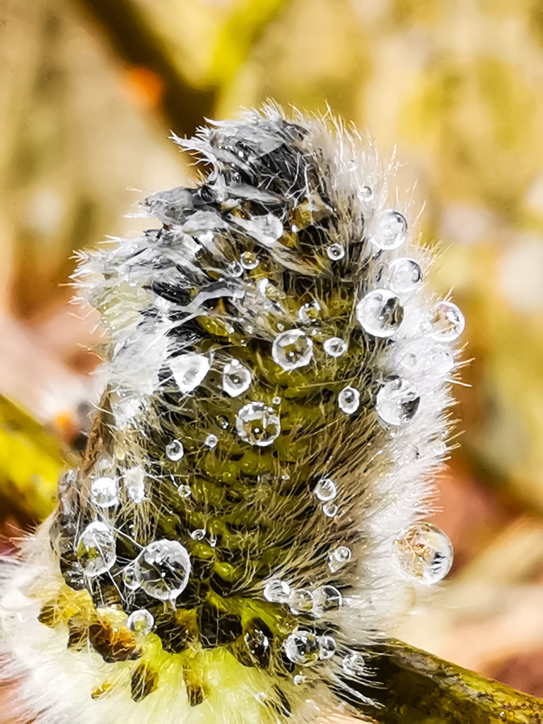 PSX_20230310_232446 | mtkfoto_ - Realisiert mit Pictrs.com