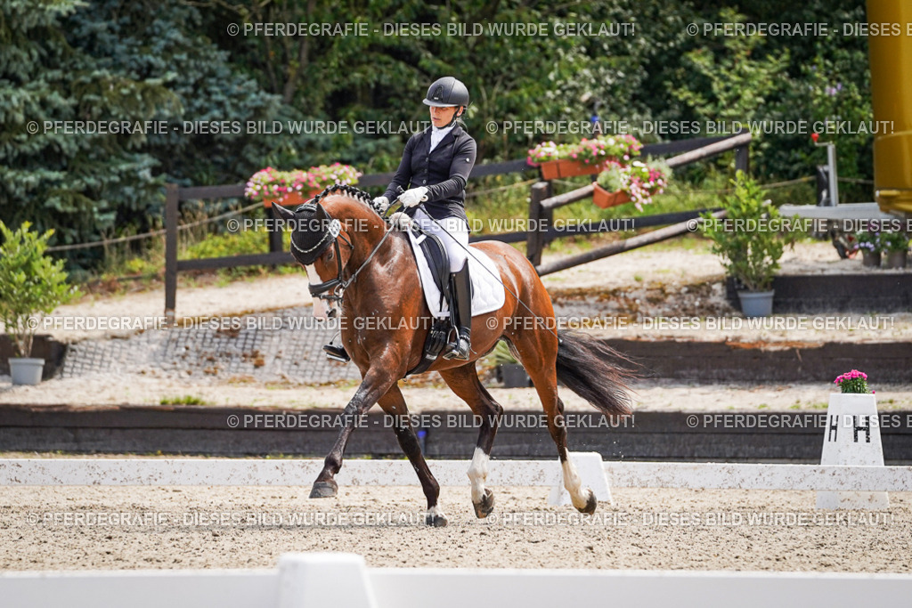 DSC00332 | Pferdegrafie