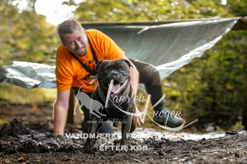 1458DZ6_4112Z6 | kk-dogfotos