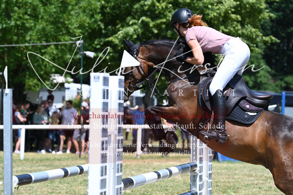 DSC_0770 | Pferde- und Turnierfotografie in Westsachsen. Pferdeportraits, Auftragszeichnungen und intuitive Kunst.