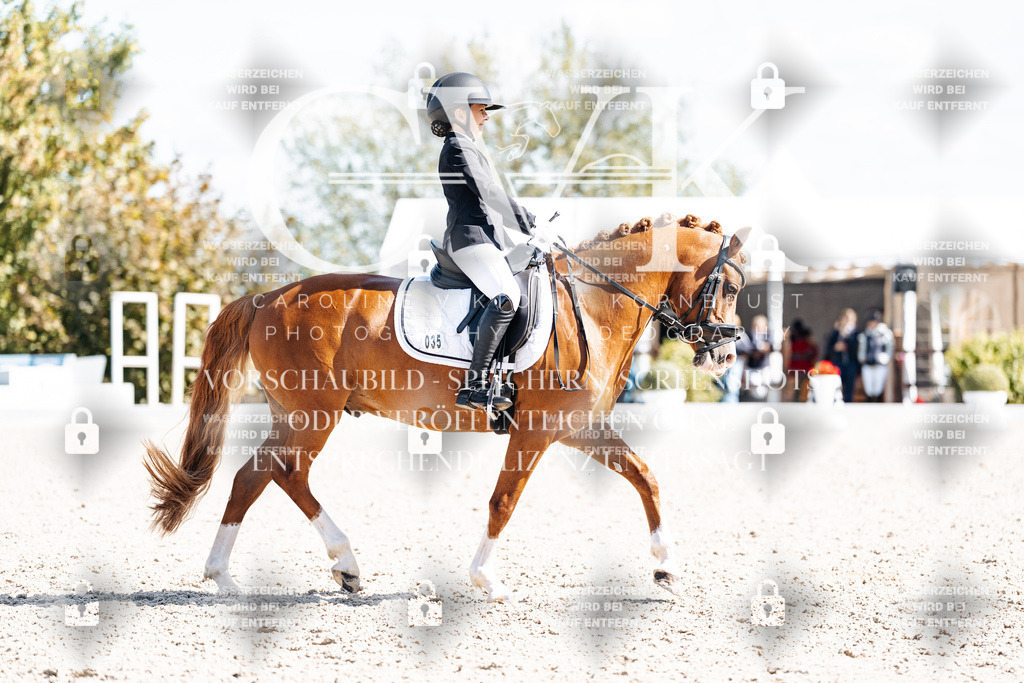 CK903066 | Turnierfotografie Pferdefotografie Trier Rheinland-Pfalz Pferdesport Reitsport Tierfotografie Sportfotografie Pferdevideo Pferdevideografie Equestrianvideography equestrianphotography  - Realisiert mit Pictrs.com