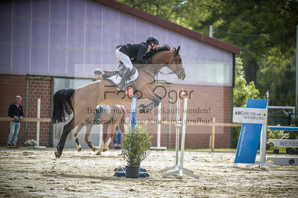 DOS_1488 | Entdecke hochwertige Reitturnierfotos von Foto Oger. Professionell, emotional und authentisch – jetzt Lieblingsmomente im Shop bestellen.Deutschlandweite Turnierfotografie. - Realisiert mit Pictrs.com