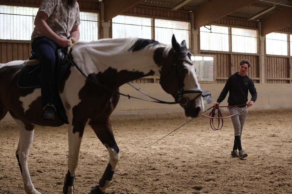 0P6A9083 | Willkommen bei Brunnmayr - Design & Fotografie – Ihrem Spezialisten für Reitturniere und Pferdeveranstaltungen in Oberösterreich, Salzburg und Bayern! Seit über 17 Jahren sind wir leidenschaftlich dabei.