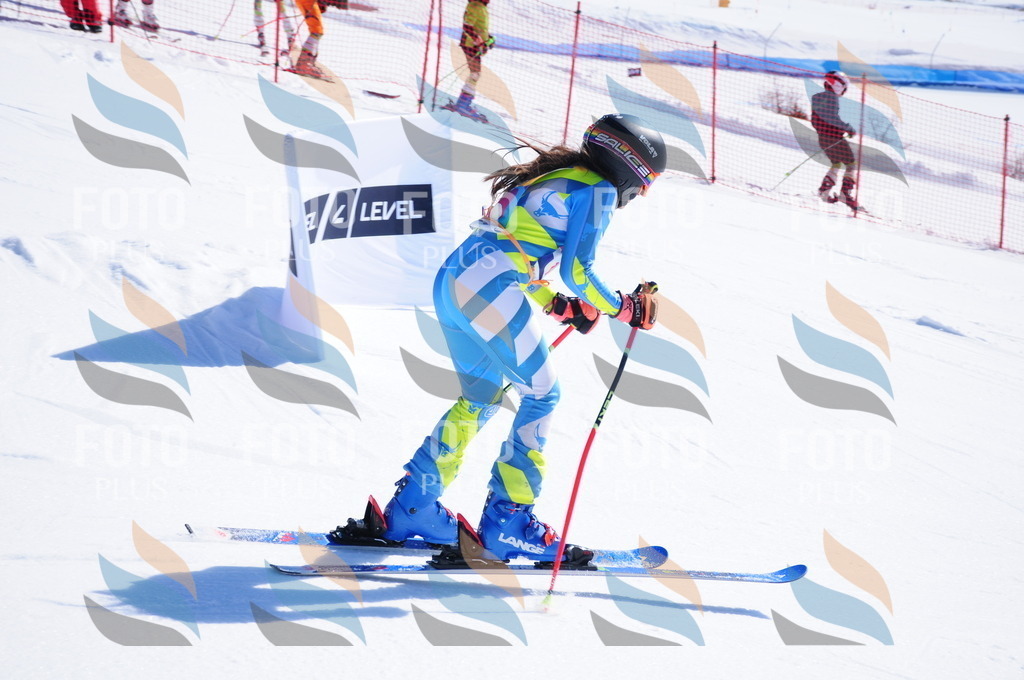 DSC_3700 | holidayphoto