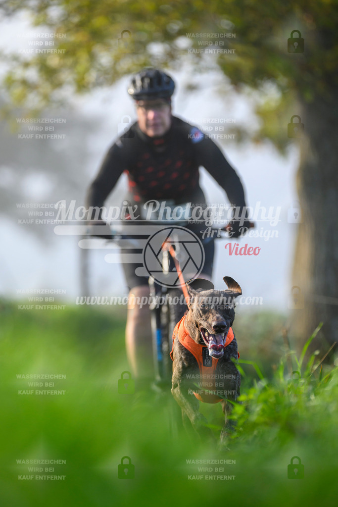 MompixPhotography_20TSB_E3_Bike-130 | PayLife