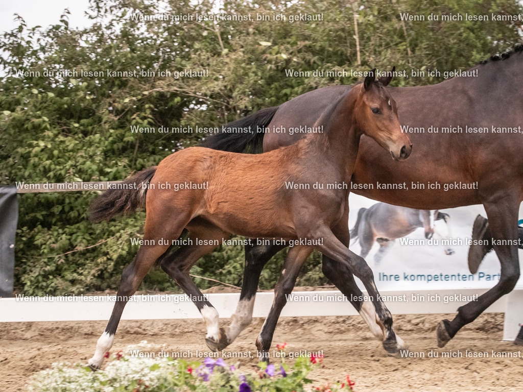 A10I7147 | photographylinaismer - Realisiert mit Pictrs.com