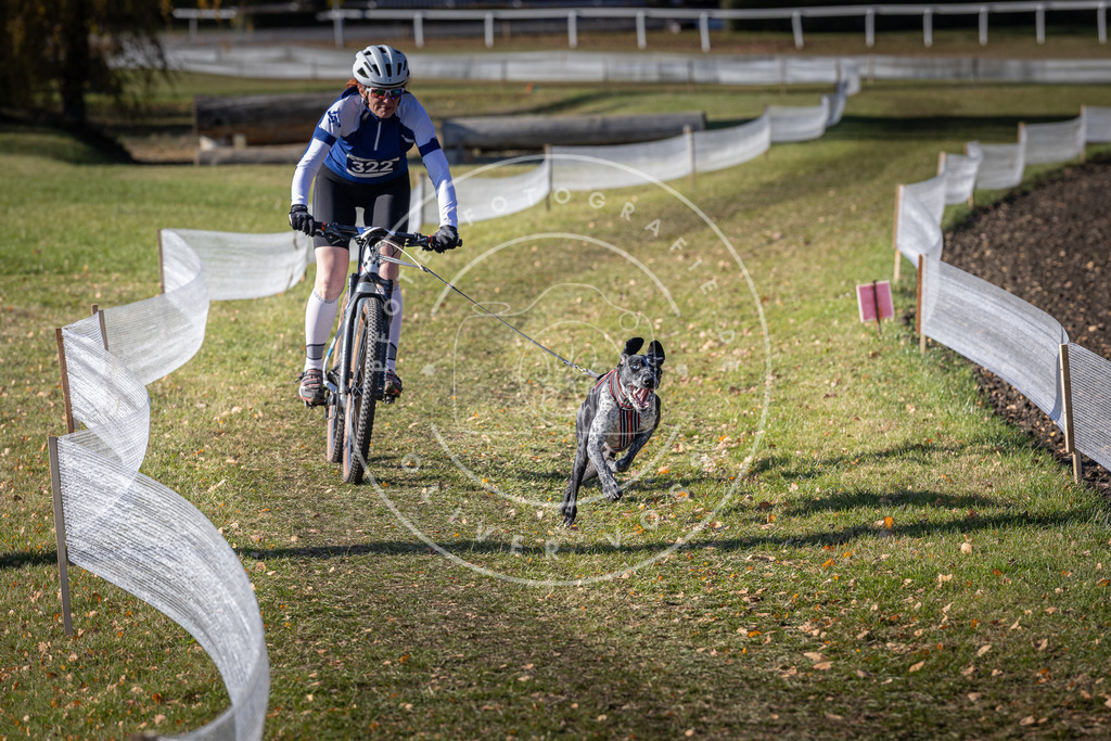 CaniXpix_DV3A6539 | Hundefotografie, Tierfotograf, Pfotenfotografie, Fotoshooting Hund, Hunde Portrait, Hundesport, Hundeportraits, Heideshooting, Hunde, Sportfotograf, Hundefotograf, Turnierhundsport, THS,  - Realisiert mit Pictrs.com
