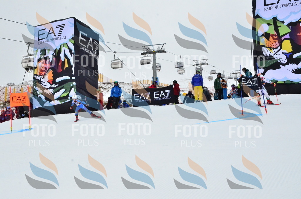 _ELE3184 | holidayphoto