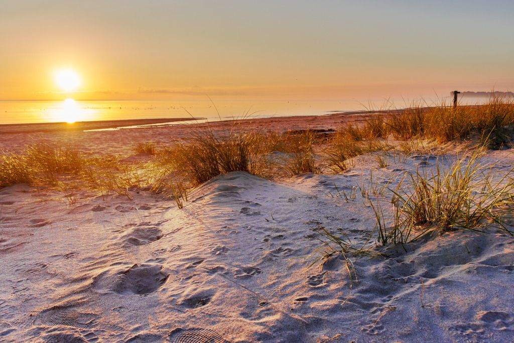 Wandbild: Sonnenaufgang am Kronsgaarder Strand | Im sanften Licht des Spätsommers zeigt dieses Küstenmotiv den Sonnenaufgang über dem Strand von Kronsgaard. Die goldene Sonne steigt am Horizont empor und taucht Himmel, Wasser und Strand in warme Farbtöne von Orange und Blau. Zarte Wellen umspielen das Ufer, während der ruhige Morgen dem Betrachter ein Gefühl von Klarheit und Gelassenheit schenkt. Die Komposition fängt die Stille und das Licht des Augenblicks ein – ein perfekter Start in einen friedlichen Tag an der Ostsee. Gedruckt als Leinwandbild, auf Acrylglas, Alu-Dibond, als FineArt Print oder Akustikbild – dieses Motiv bringt maritime Wärme und Morgenruhe in jeden Raum. - Realisiert mit Pictrs.com
