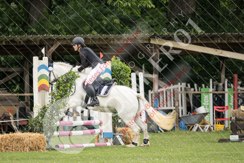 IMG_2627 | Sport-, Event- und Tierfotos in Profiqualität. Einfach auswählen, bestellen und herunterladen. Dein Moment – perfekt festgehalten.