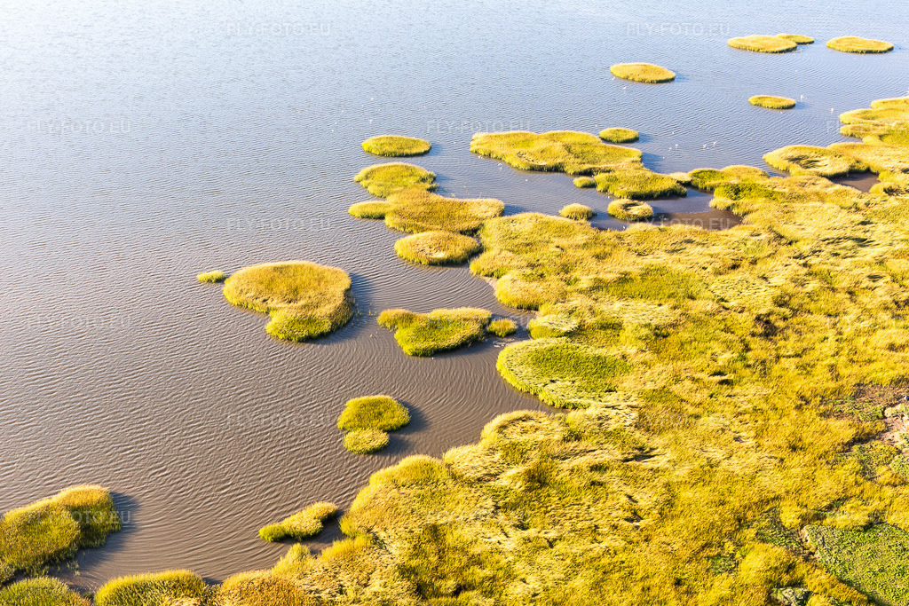 Vue aérienne: Parc national de la mer des Wadden à Fanø dans le département Syddanmark, Danemark. Photo: IMG_118834.jpg prise le 21/09/2019 par Werner Riehm/FLY-FOTO.eu – Résolution de l'original: 5472 x 3648 px