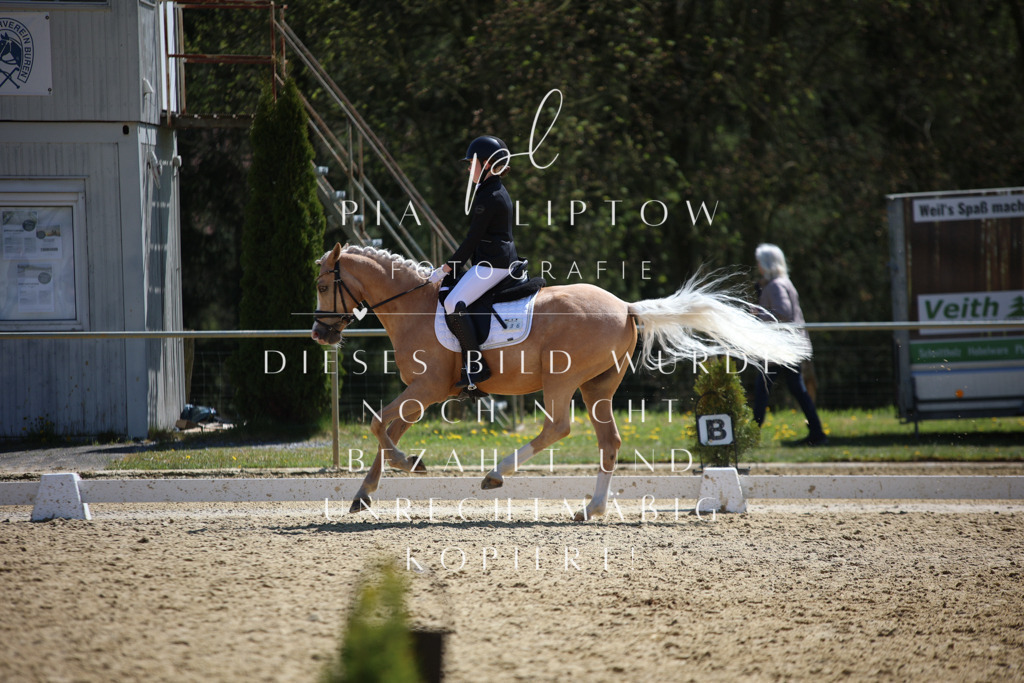 IMGT2359 | pl-fotografie