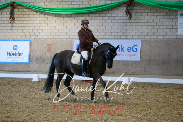 IMG_2834 | Turnierfotos kaufen im Webshop von Daniel Kuhl Photography – entdecke professionelle Reitsportfotos aus Turnieren & Events. Hochwertige Turnierbilder online bestellen & sichern. Jetzt Fotos von Reitsportturnieren kaufen!