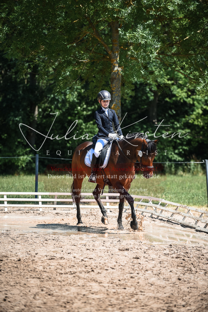 DSC_2869 | Pferde- und Turnierfotografie in Westsachsen. Pferdeportraits, Auftragszeichnungen und intuitive Kunst.