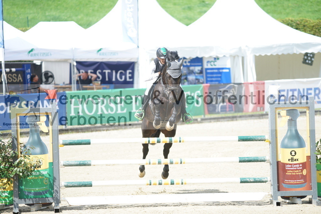 DSC08995 | equestrian-live-com