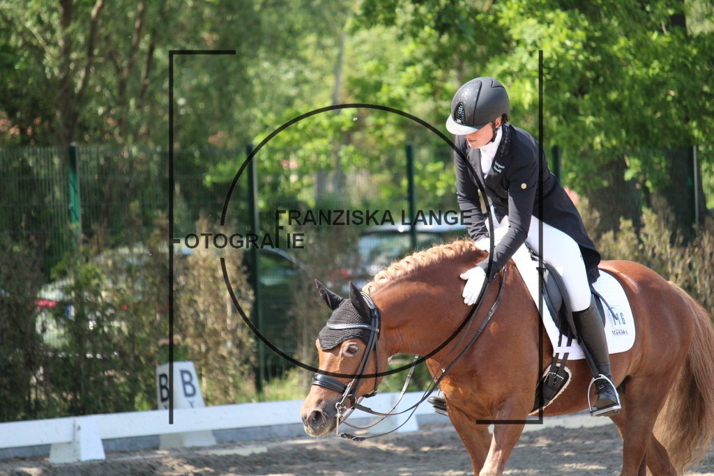 IMG_4783 | franziskalange - Realisiert mit Pictrs.com