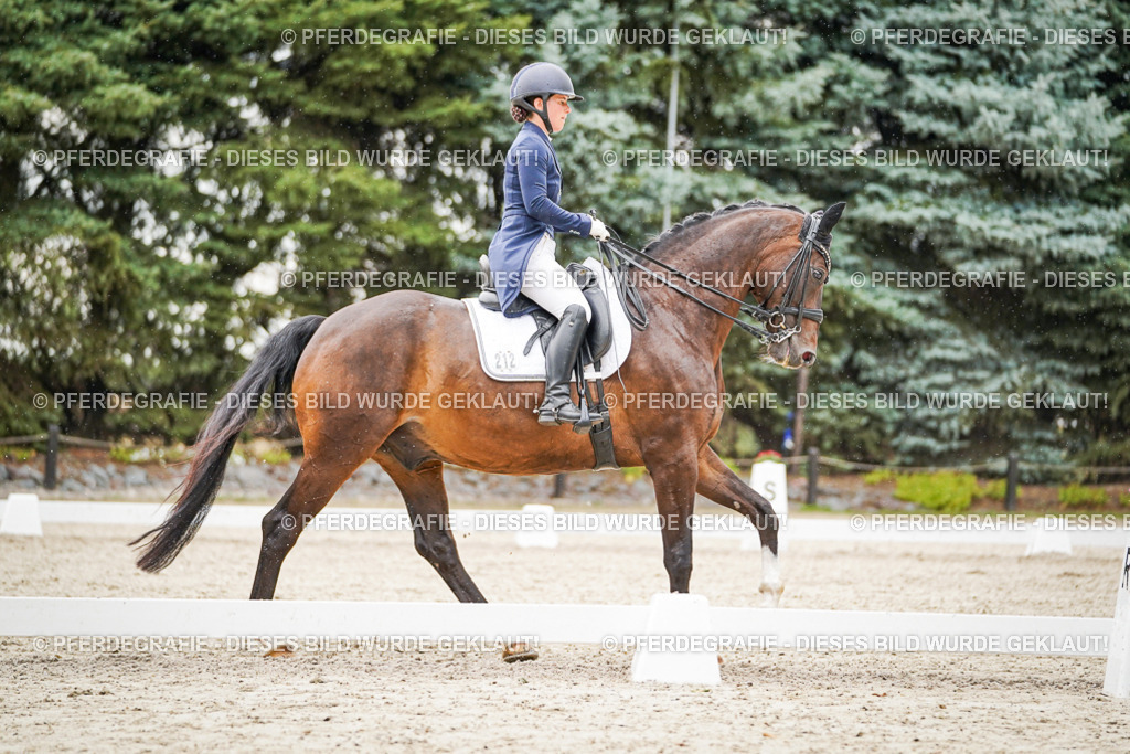 DSC07909 | Pferdegrafie