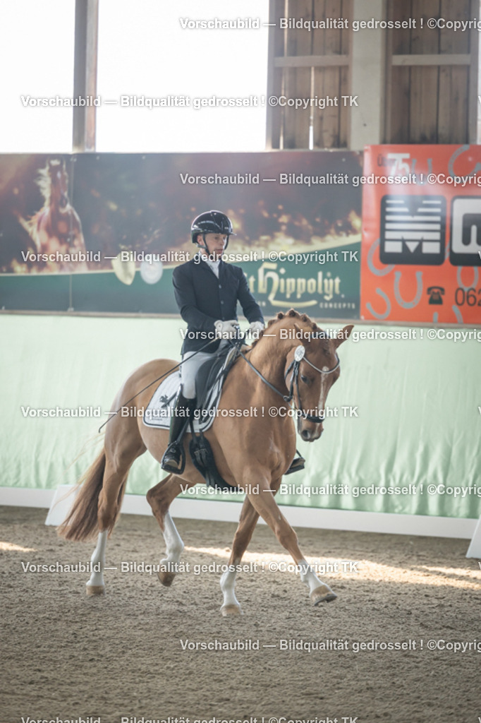 _D5A0404 | Emotionale Pferde- & People-Fotografie rund um Heidelberg, Leimen & Umgebung. Natürliche Fotos von Pferd, Mensch & Familie. Jetzt Termin sichern!