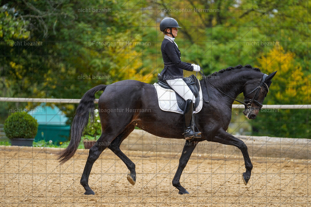 20221008-FAH01916 | Diessen am Ammersee, 2022, Dressur- und Springturnier, Reitsportbilder, Turnierfotografen Bayern, Pferdefotografen, Fotoagentur Herrmann, Turnierbilder