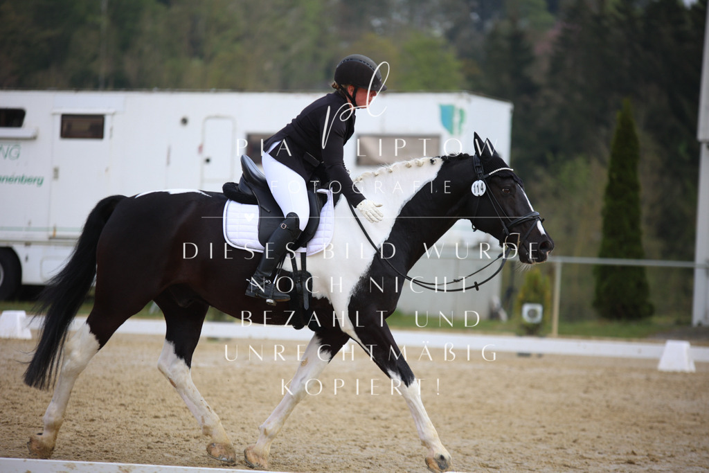 IMGT6543 | pl-fotografie