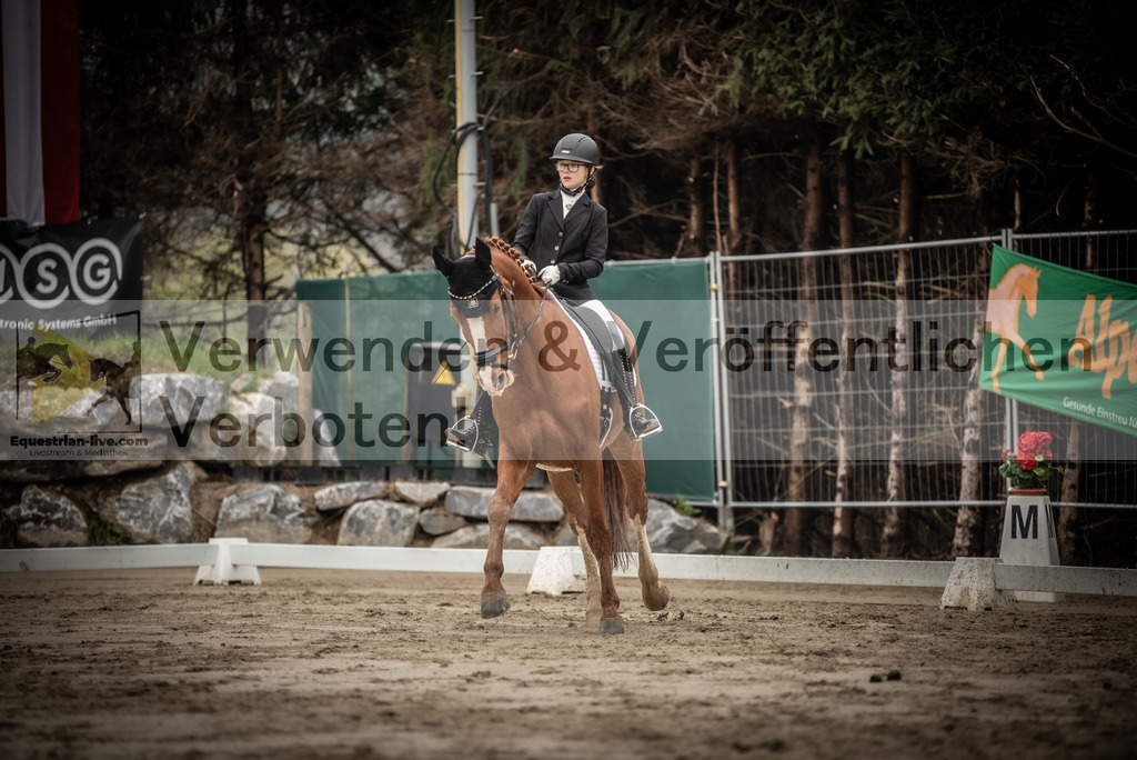 DSC_0234 | equestrian-live-com