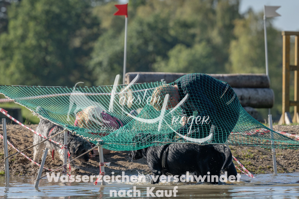 1330_ZZ90603 | kk-dogfotos
