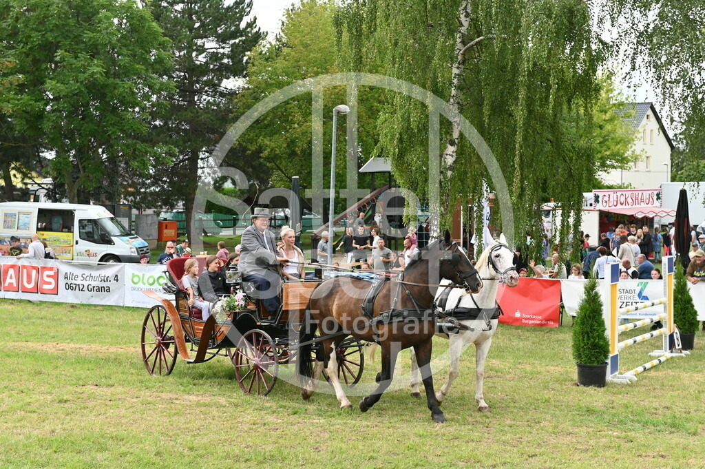 DSC_3571 | sattelsport - Realisiert mit Pictrs.com