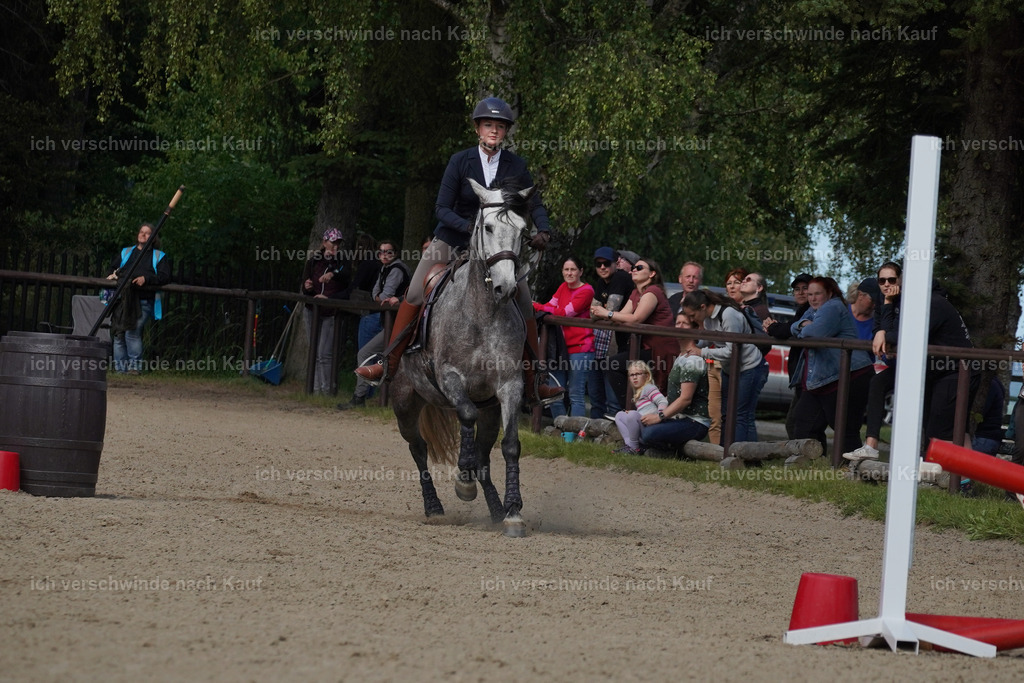 KlasseM_Lucie (16) | working equitationturnier fotograf videograf stoibphotography marixx film working equitation deutschland reitsport turnierfotografie eventfotografie equestrian events