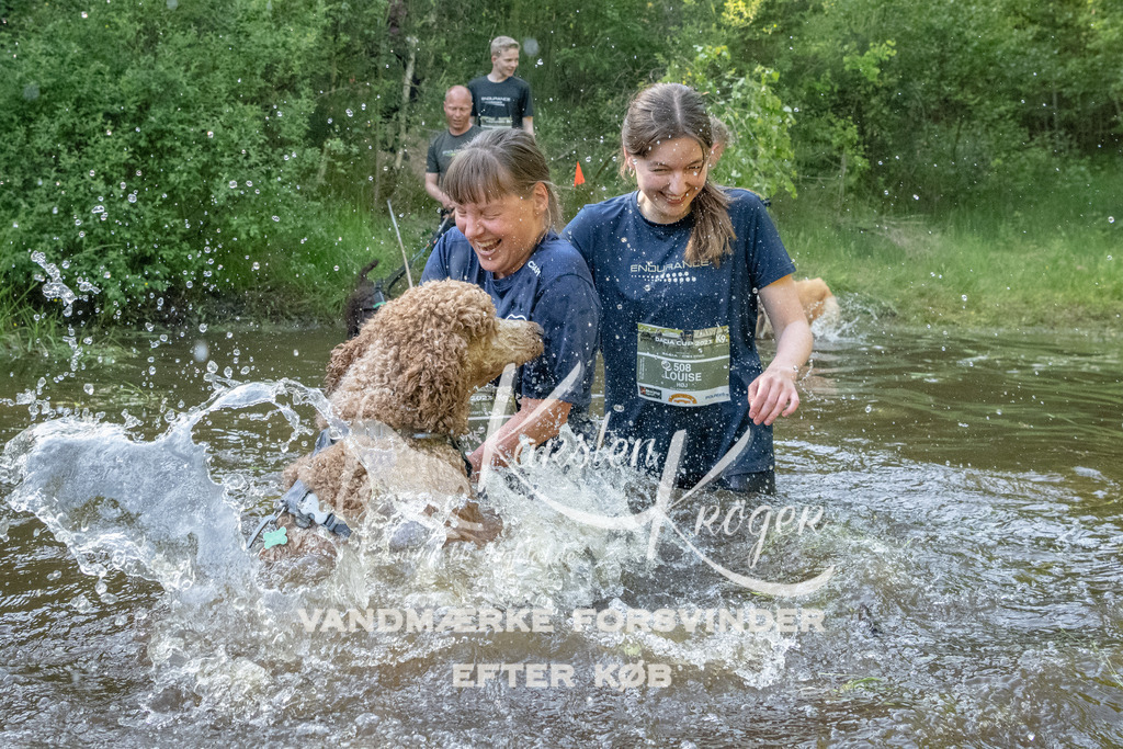 1745DKK992596 | kk-dogfotos