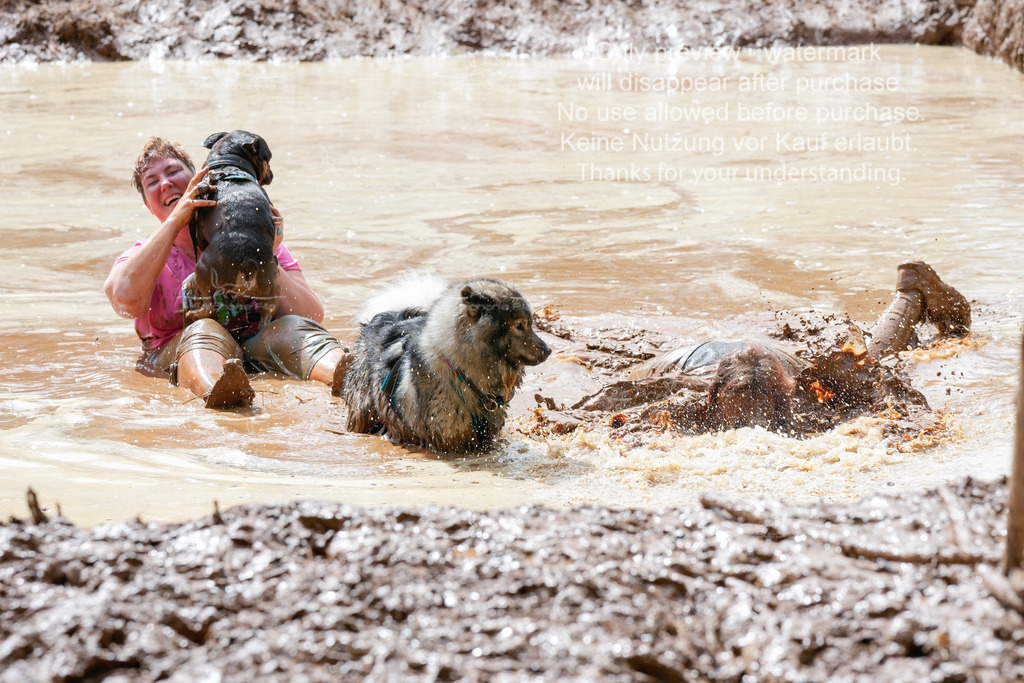 Schlamm_mit_Hund (331 von 460) | stephaniefillaphotographie - Realisiert mit Pictrs.com