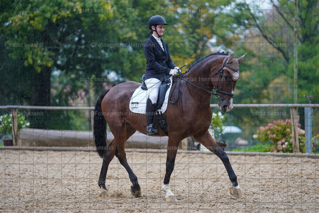 20221008-FAH02123 | Diessen am Ammersee, 2022, Dressur- und Springturnier, Reitsportbilder, Turnierfotografen Bayern, Pferdefotografen, Fotoagentur Herrmann, Turnierbilder