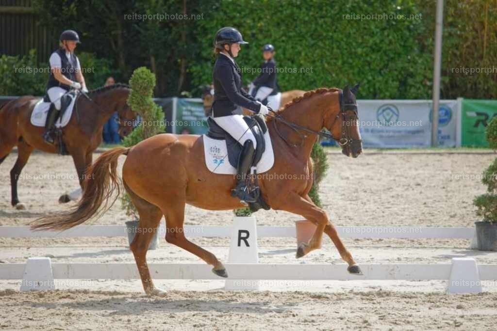 JHE_3201 | JoYa Fotografie - Realisiert mit Pictrs.com