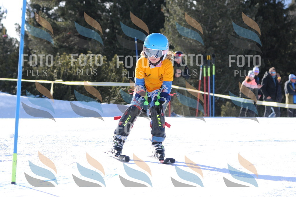 C6894 | holidayphoto