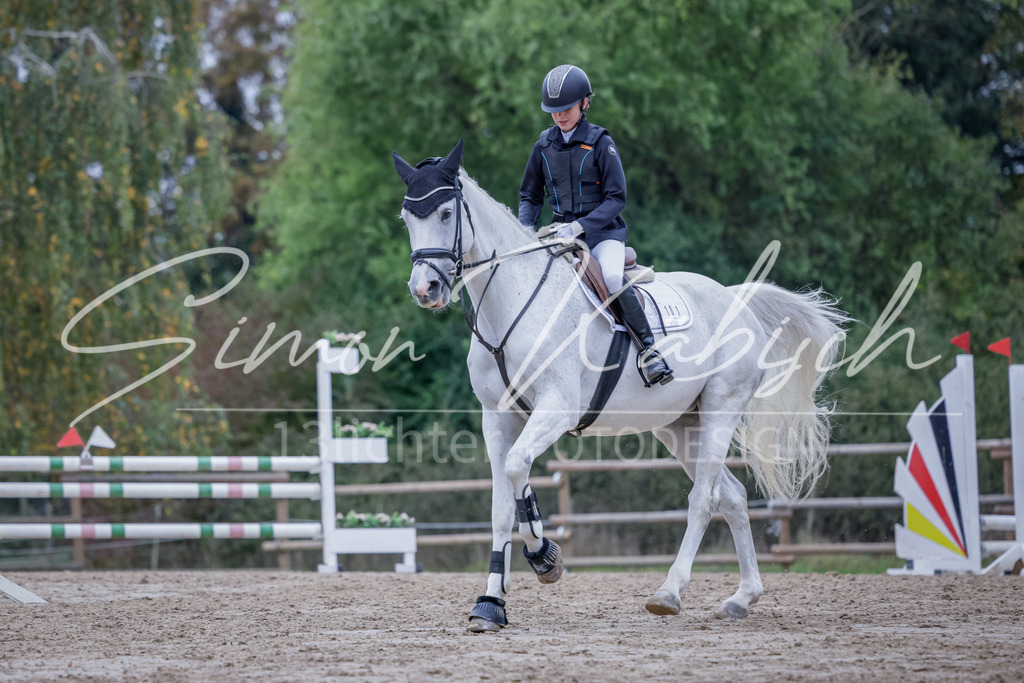 20251012-_3LI2917 | Tierfotografie Pferde, Hunde, Katzen, Haustiere.
Turnierfotografie Reitturniere, Reiten, Springreiten, Dressur in Hanau, dem Main-Kinzig-Kreis und dem Rhein-Main- Gebiet um Frankfurt