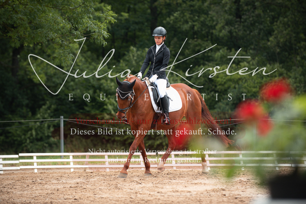 DSC_9780 | Pferde- und Turnierfotografie in Westsachsen. Pferdeportraits, Auftragszeichnungen und intuitive Kunst.