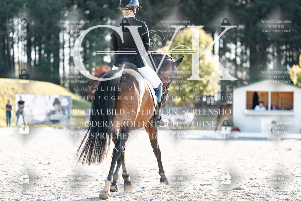 CK907032 | Turnierfotografie Pferdefotografie Trier Rheinland-Pfalz Pferdesport Reitsport Tierfotografie Sportfotografie Pferdevideo Pferdevideografie Equestrianvideography equestrianphotography  - Realisiert mit Pictrs.com