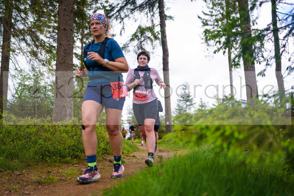 Rennsteiglauf Marathon 2025 | Marathon von Neuhaus/Rwg. nach Schmiedefeld/Rstg. am 17. Mai 2025