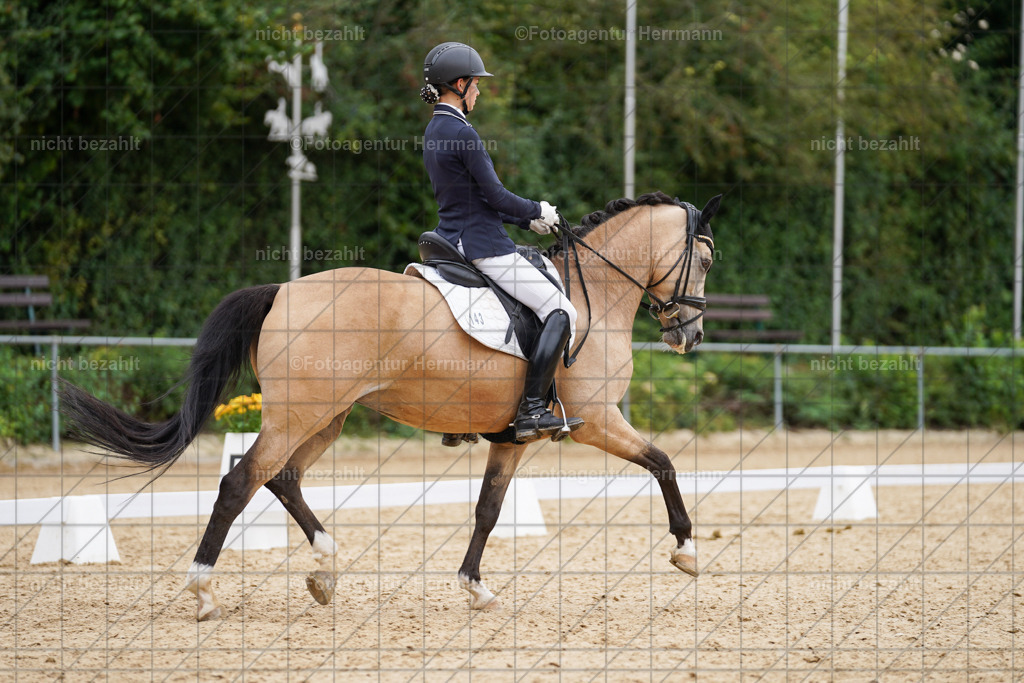 20240825-FAH09842 | Turnierbilder, Reitsportfotos, LAPO, Landesponyturnier, Turnierfotografen Bayern