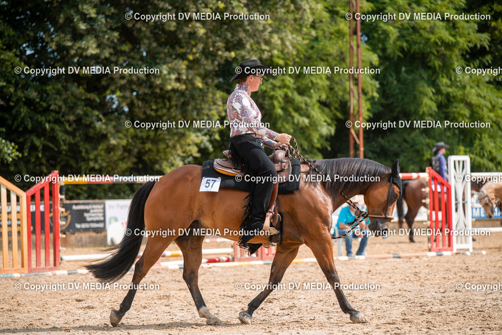 ZS2_7699 | dv-media-shop - Realisiert mit Pictrs.com