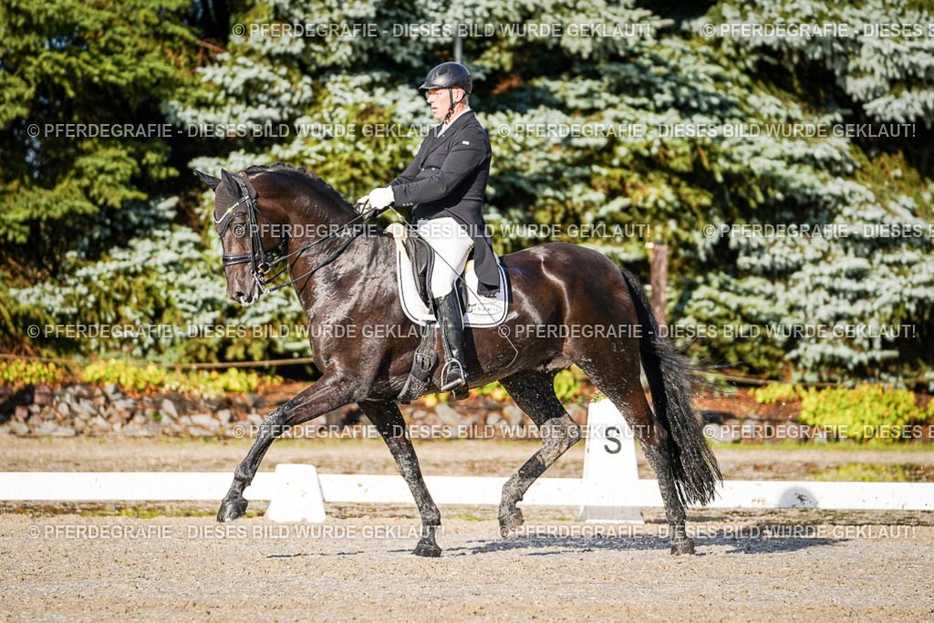 DSC00691 | Pferdegrafie