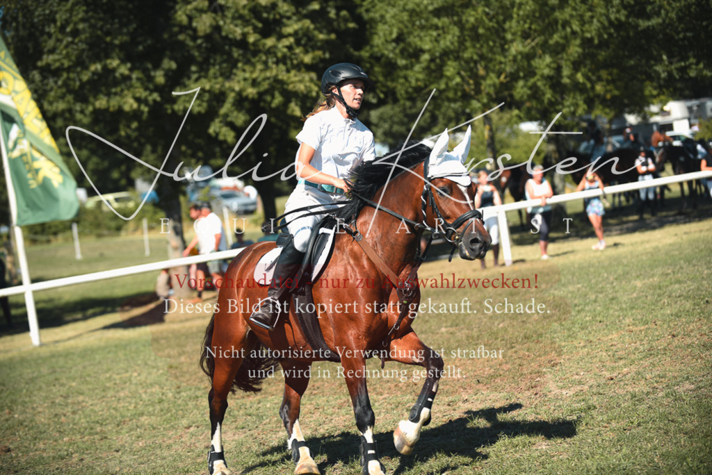 DSC_7289 | Pferde- und Turnierfotografie in Westsachsen. Pferdeportraits, Auftragszeichnungen und intuitive Kunst.