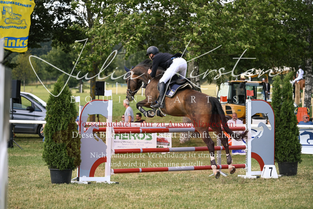 DSC_0854 | Pferde- und Turnierfotografie in Westsachsen. Pferdeportraits, Auftragszeichnungen und intuitive Kunst.