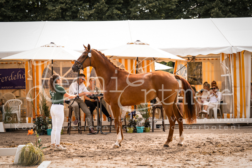 7.Fr00058 | Leoni Ertmer Photography - Realisiert mit Pictrs.com