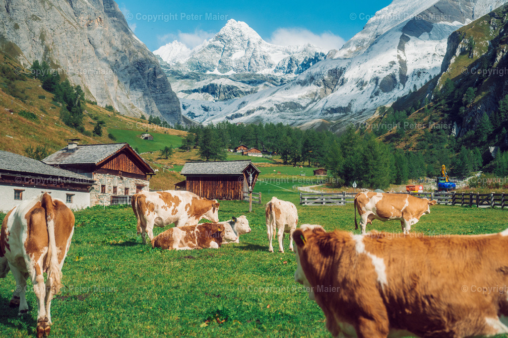 Kals_Herbst-301 | piet_flosse