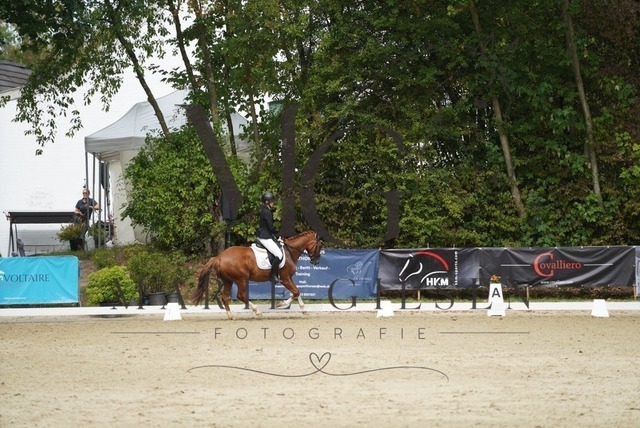 VAN01792 | Pferdefotografie in Köln und Umgebung – emotionale Pferdeshootings, Turnierfotografie und besondere Momente zwischen Pferd und Mensch. - Realisiert mit Pictrs.com