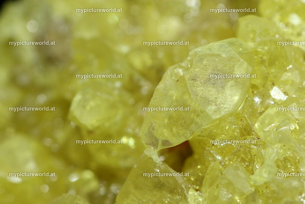 Schwefel-003 | Das Bilderarchiv über Tiere, Planzen und Landschaften. In der Bilddatenbank finden Sie ein große Auswahl an hochwertigen Bilder für Ihre Werbung - Realisiert mit Pictrs.com