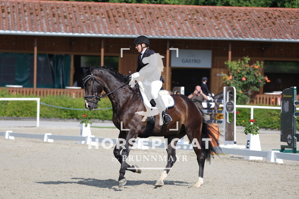 0P6A4595 | Willkommen bei Brunnmayr - Design & Fotografie – Ihrem Spezialisten für Reitturniere und Pferdeveranstaltungen in Oberösterreich, Salzburg und Bayern! Seit über 17 Jahren sind wir leidenschaftlich dabei.