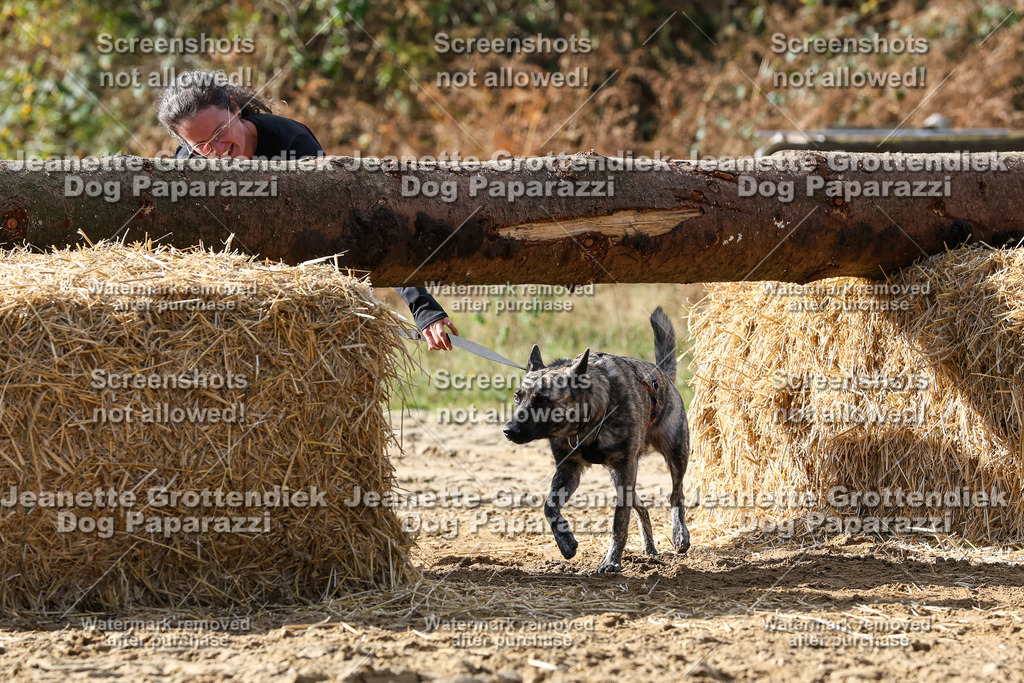 Dog Paparazzi - Strongdog 10-25-5224 | Dog Paparazzi Jeanette Grottendiek Fotografie & Videografie - Realisiert mit Pictrs.com