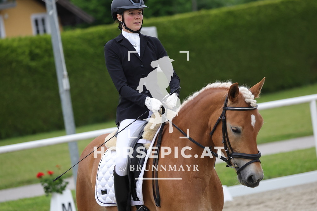 0P6A7076 | Willkommen bei Brunnmayr - Design & Fotografie – Ihrem Spezialisten für Reitturniere und Pferdeveranstaltungen in Oberösterreich, Salzburg und Bayern! Seit über 17 Jahren sind wir leidenschaftlich dabei.