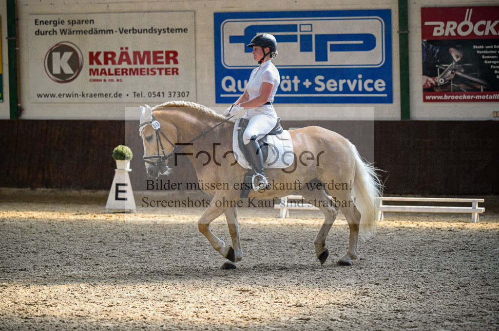 Reitturnier Voxtrup | Entdecke hochwertige Reitturnierfotos von Foto Oger. Professionell, emotional und authentisch – jetzt Lieblingsmomente im Shop bestellen.Deutschlandweite Turnierfotografie. - Realisiert mit Pictrs.com